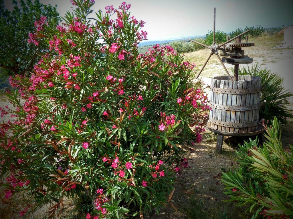 Farm stay Agriturismo Timpa Del Sole *